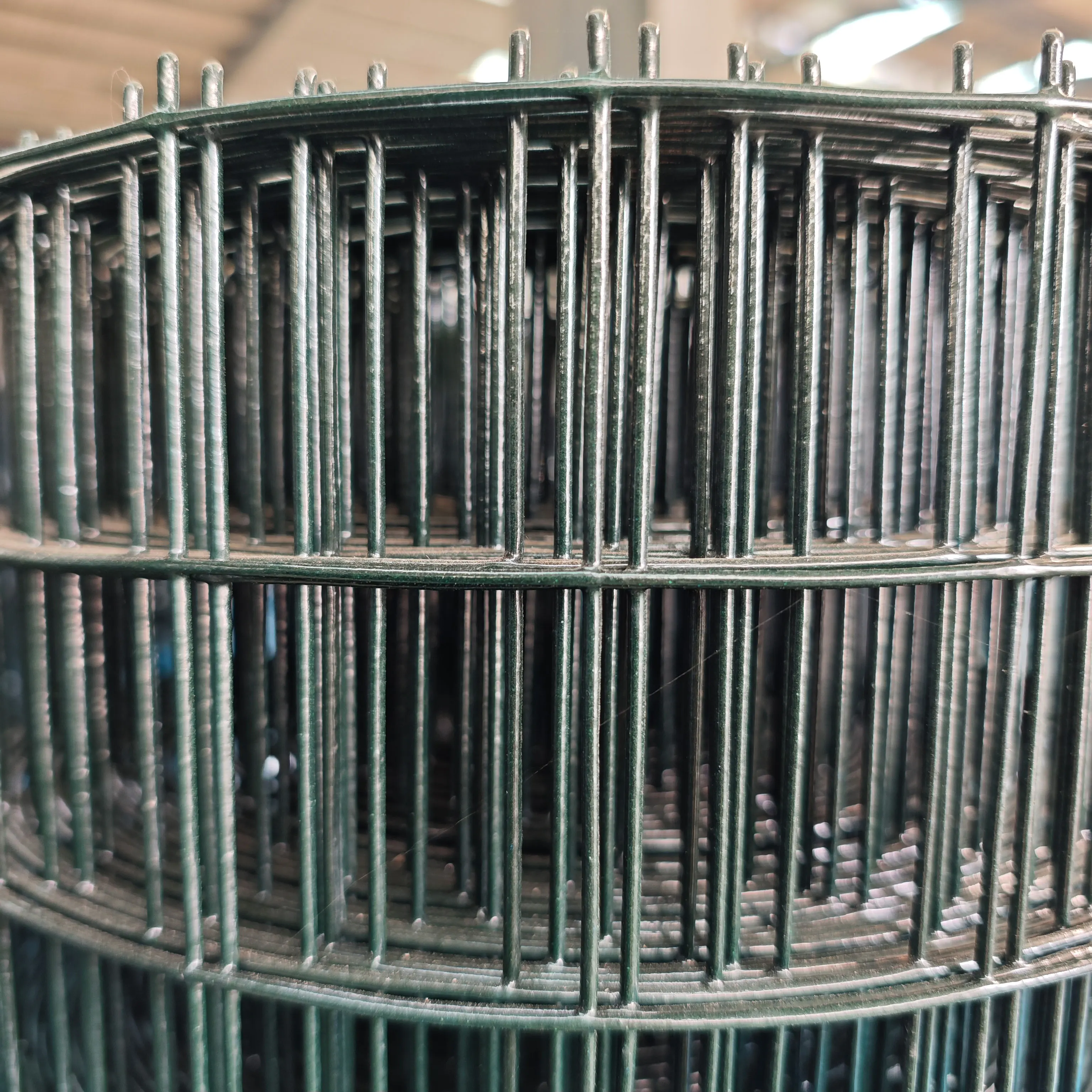 PVC Plastic Coated Welded Wire Mesh Coated With Plastic Mesh
