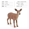 colorato PL127-171 femmina di cervo Sika 38g