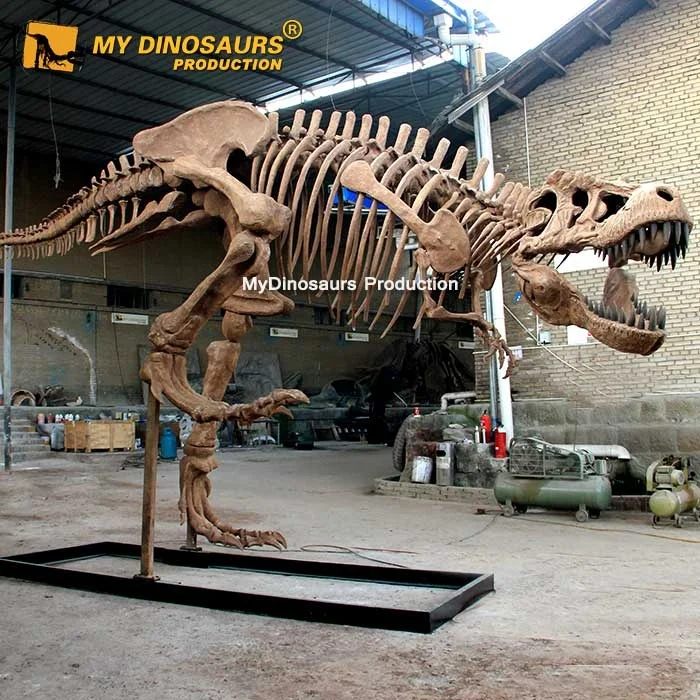 10m-Trex-skeleton.jpg