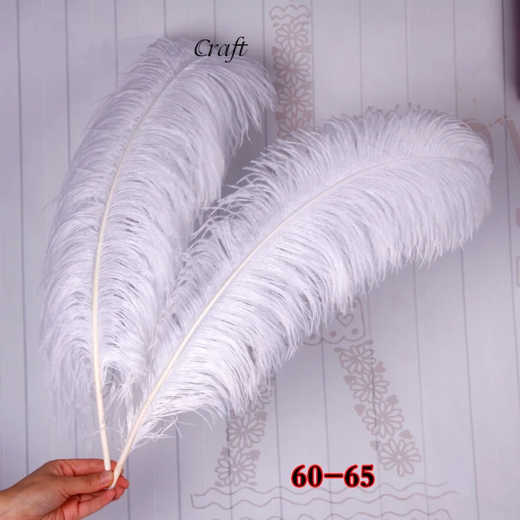 Cvtubhi Plumes D'Autruche 8-10 Pouces (20-25cm) Lot De 30 Plumes D'Autruche Artificielles En Vrac Pour Décorations De Mariage Centres De Table Rose