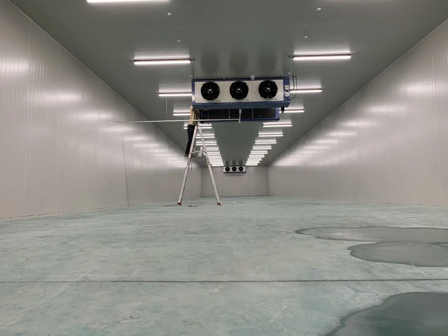 Blast Freezer, 20ft, 40ft - detail 18
