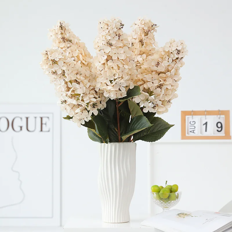 Autumn Color Cone Hydrangea - Perfect for All Occasions