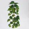 Hiedra verde nórdica colgante