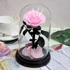 Rosa claro