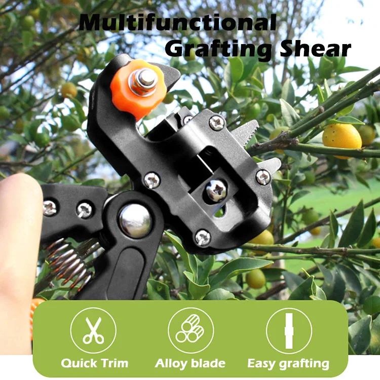 Outil 2 En 1 Taille Greffe Ciseaux Greffage Professionnels - 3 Lames Pour Arbres Fruitiers élagage Professionnel