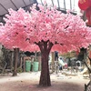 Cerisier rose