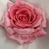 สีชมพูเข้มและสีชมพูอ่อน