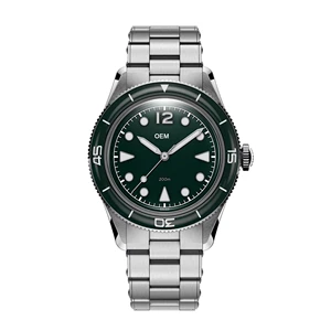 OEM/ODM Watch Manufacturer Luxury Stainless Steel Automatic Diver Watches Top Hat Sapphire Glass Bezel Men's Miyota 9015 Watches