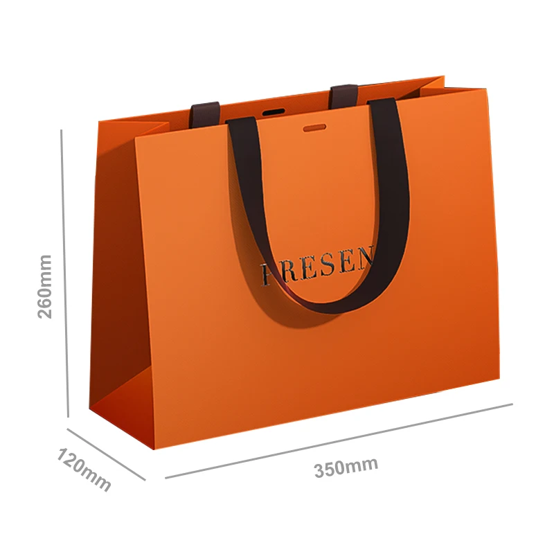 shopping gift bag