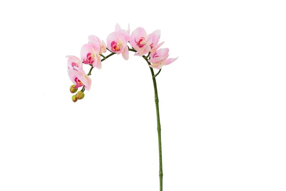 Прямая поставка с фабрики, реалистичные высококачественные искусственные цветы орхидеи, 9 головок, украшение для дома и свадьбы