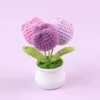 Tulipe en pot, dégradé violet, 3 têtes.