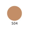S04
