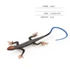 lizard