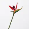 Taglia piccola - rosso