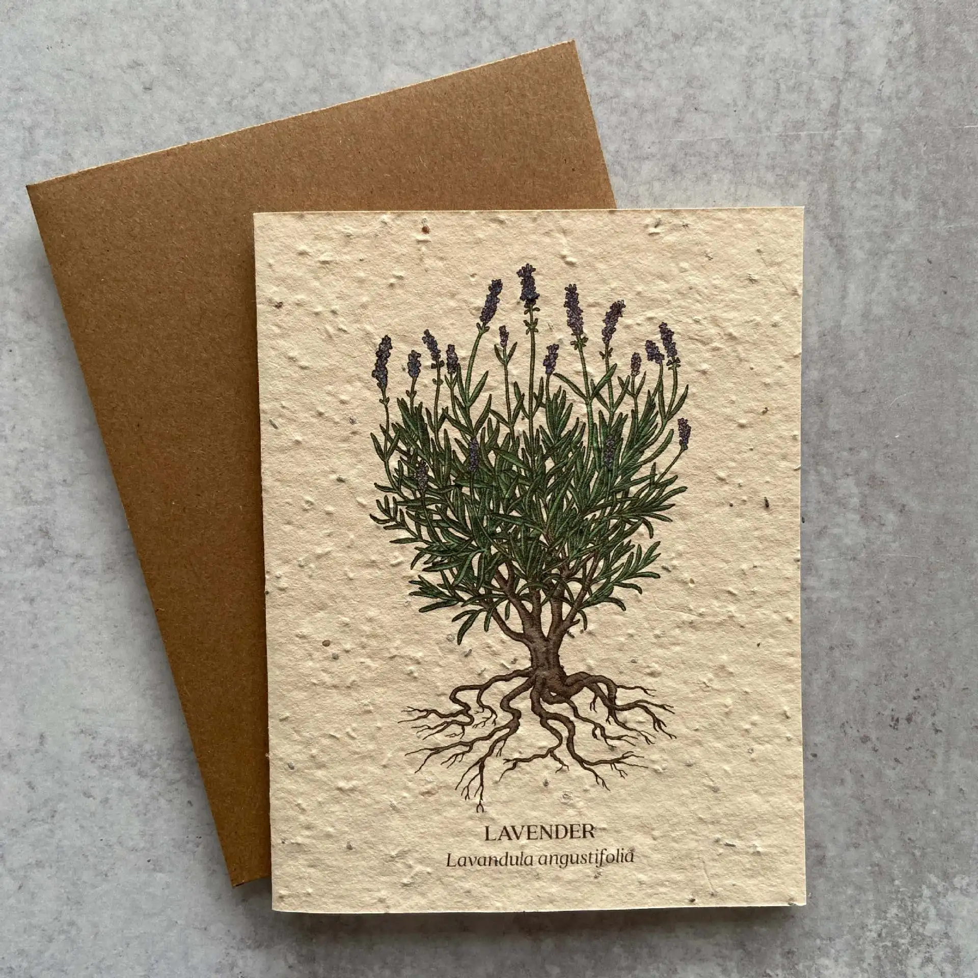 Luxury Custom Logo  Handmade Paper Message Card Thanks Giving Cards Wildflower Embedded Recycled Paper