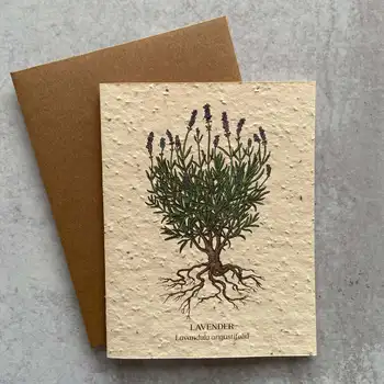 Luxury Custom Logo  Handmade Bloom & Grow Paper Message Card Thanks Giving Cards Wildflower Seeds Embedded Recycled