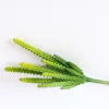 Cactus giallo a 7 teste