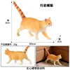 colorato PL127-3365 Country Cat