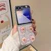 เคสใส