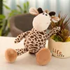 The giraffe