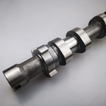 H003ae0397034459db8461255c5c35