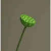 green 05