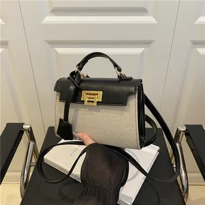 Luxury Designer Sacs Small Bag for Women Crossbody Shoulder Bag Top Handle Handbag Ladies Purses