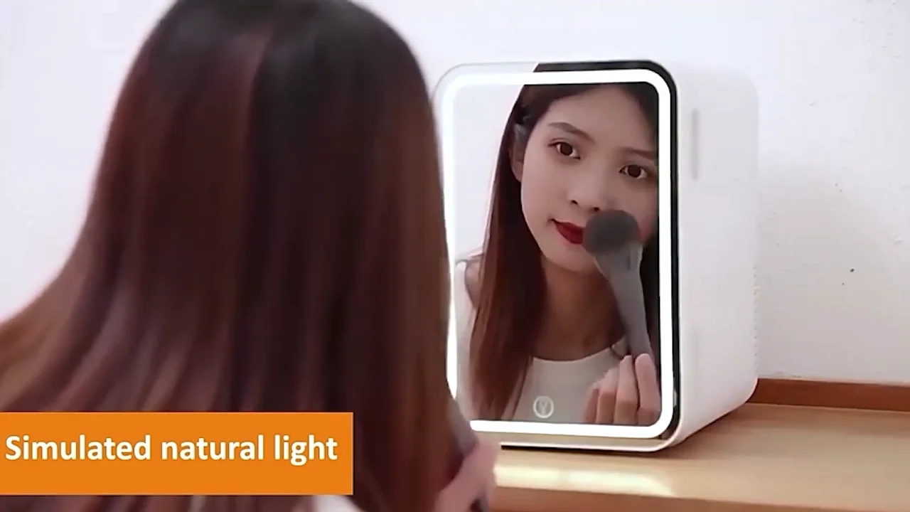 6l 8l Skincare Beauty Mini Fridge Small Refrigerators Hotel Portable