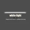 White light + endless dimming