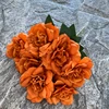 Caramel color