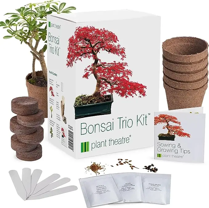 Usda Organic Certified Eco Friendly Indoor Home Garden Kit Bonsai Tree