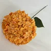 caramelo