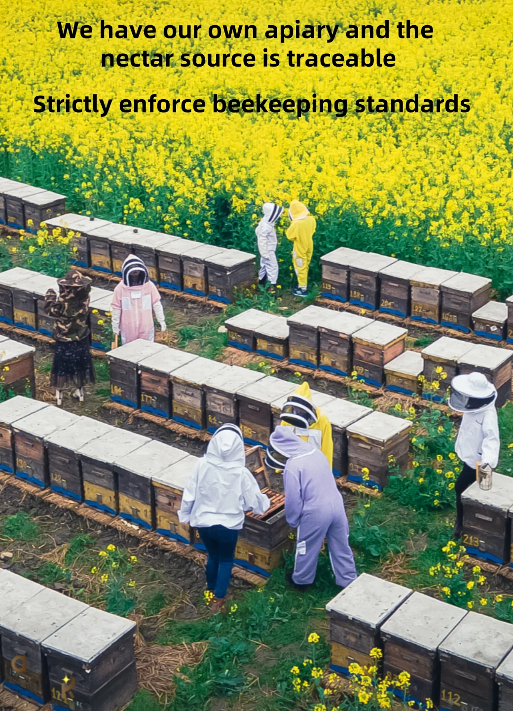 BEESTAR Portable Pear Syrup Loquat Honey Water with 24 Months Shelf Life 50% Brix and 19% Max Moisture for Health Beverage
