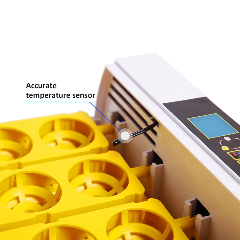 HHD 24 Capacity LCD Display Fertilized Parrot Incubators Hatching Eggs Egg Products