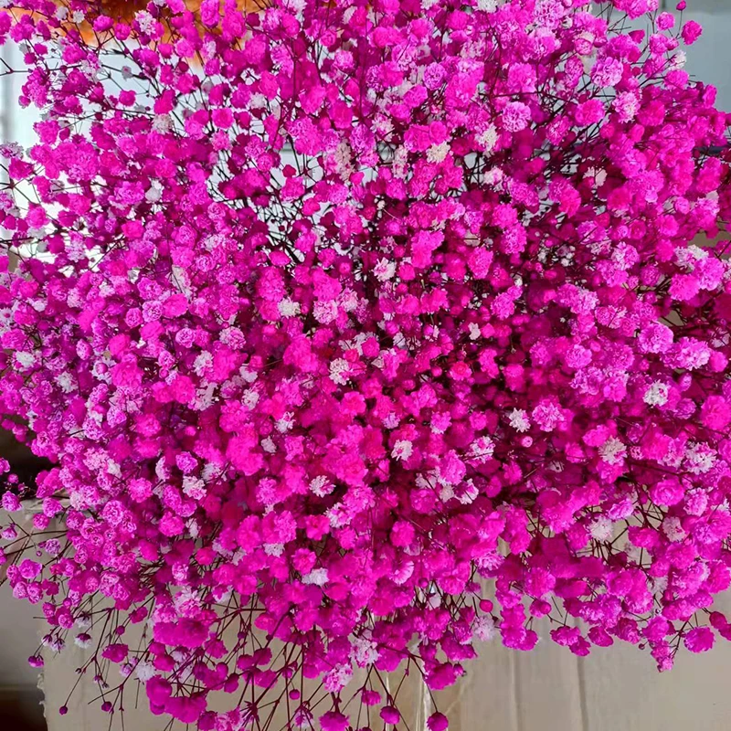 product preserved baby breath gypsophila dried flowers for wedding party or home table decor for christmas valentines day or easter-62