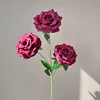3-head diamond [with leaves] rose wine red