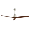 Brown+silvery motor