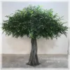 #1 Árbol VERDE