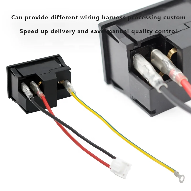 10A 250V Power Socket with Push in Fuses for Industrial Use