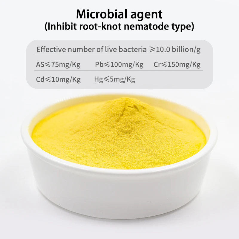 Bacillus Subtilis Trichoderma Highly Active Beneficial Microorganisms for Control Root Knot Nematodes
