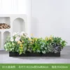 Siete estrellas brillando intensamente: adecuadas para cajas de flores de 100 cm