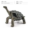 Colorido Q9899-S599 Tortuga 125g