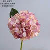 Pink purple