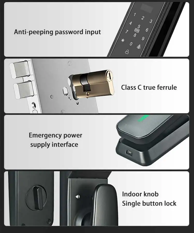 K182(1)PSD_08.jpg