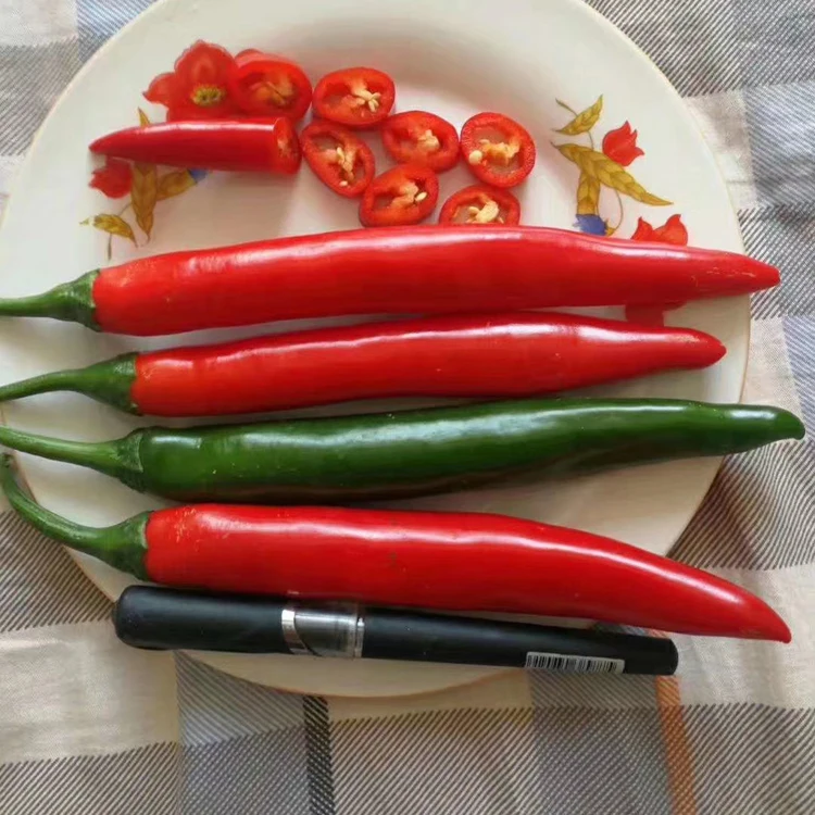 factory direct export fresh red chilli pepper - buy fresh red