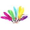 Colorful 8