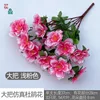 Grandes racimos de azaleas, rosa claro.