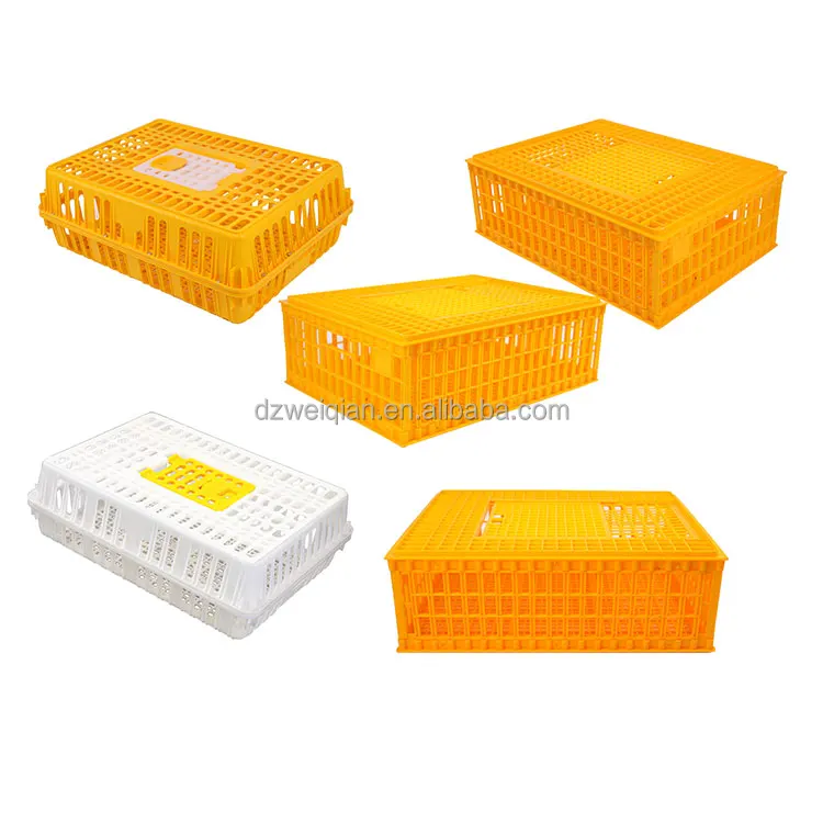 Poultry Carrier Crate Plastic Chicken Transport Cage Chicken Carrier ...