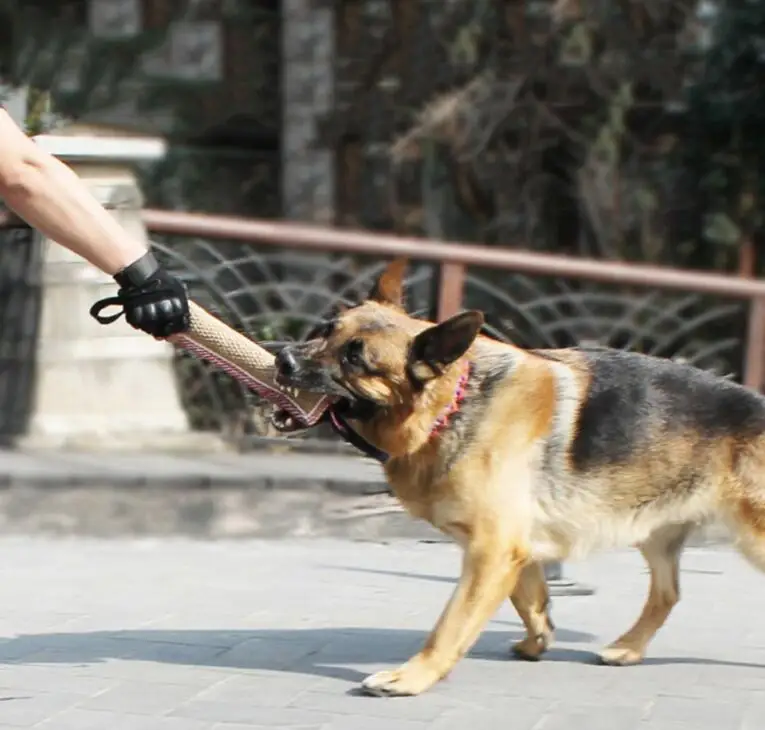 アマゾン犬バイトバーペットバイトトレーニングツール犬プロ麻スティック Buy 犬の咬傷バー ペットの咬傷トレーニングツール 犬専門の麻スティック Product On Alibaba Com
