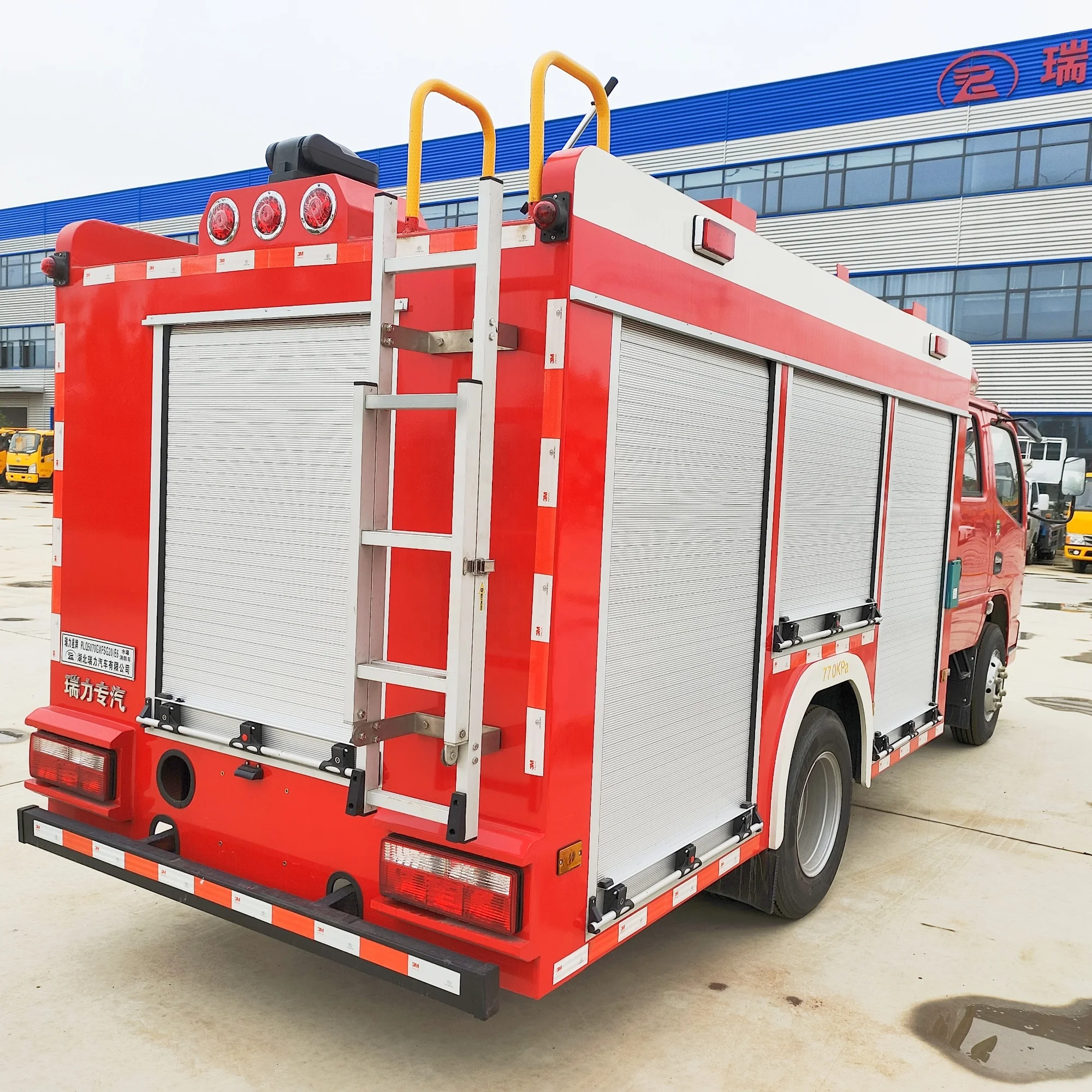 海ぶどう, forest fire セット 海ぶどう, forest fire セット